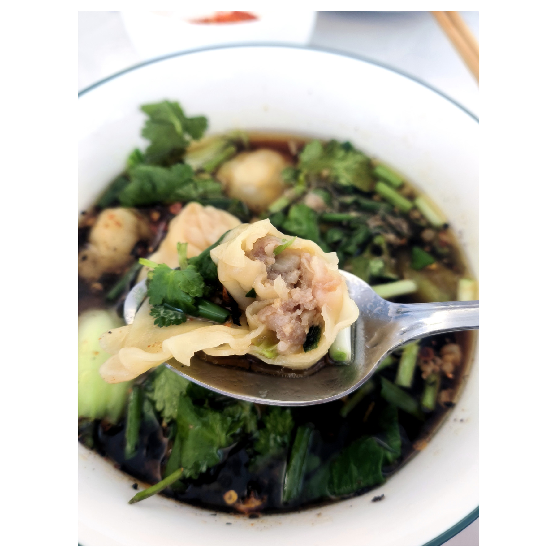 Homemade Wonton